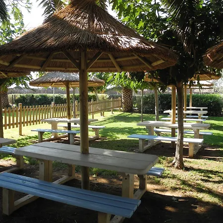 Club La Font Des Horts Hyères