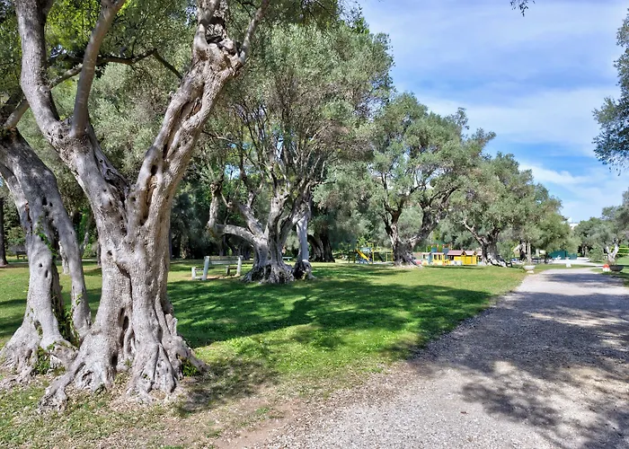 Club La Font Des Horts